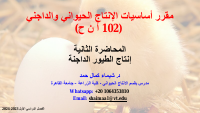 DrShaimaa-Lecture2-102.pdf